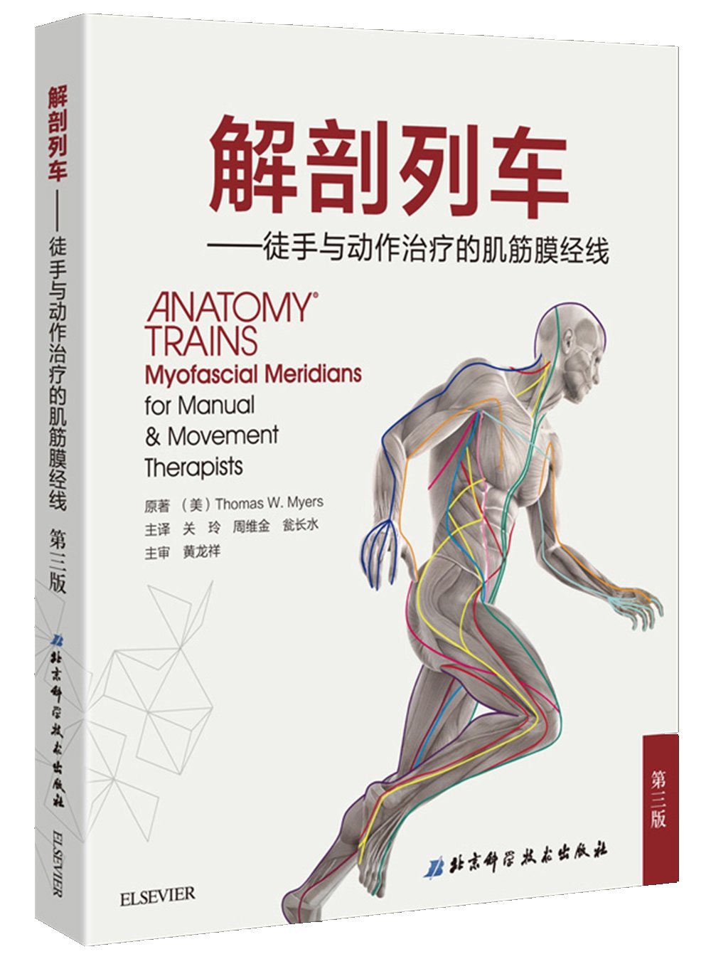 Anatomy Trains  myofascial meridians